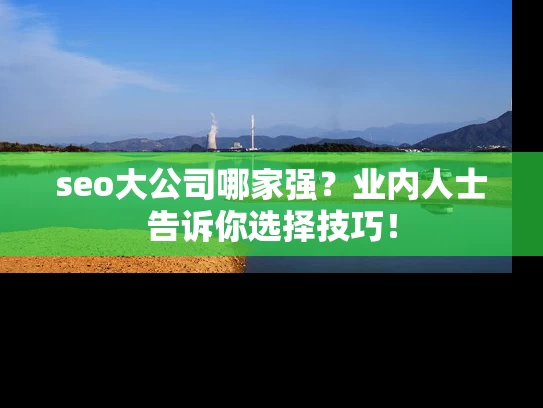 seo大公司哪家强？业内人士告诉你选择技巧！