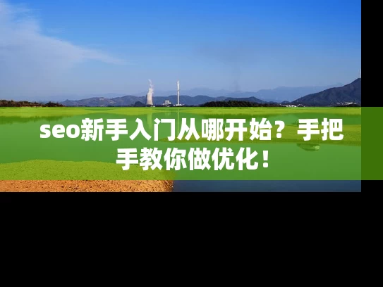 seo新手入门从哪开始？手把手教你做优化！
