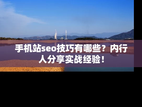 手机站seo技巧有哪些？内行人分享实战经验！