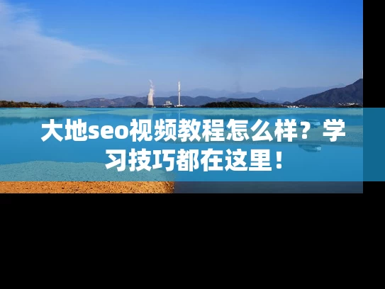 大地seo视频教程怎么样？学习技巧都在这里！