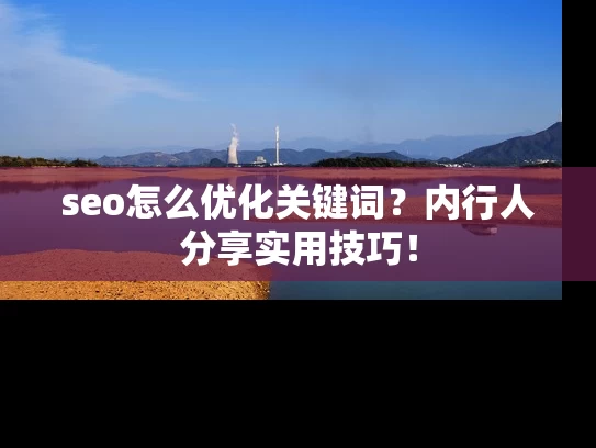 seo怎么优化关键词？内行人分享实用技巧！