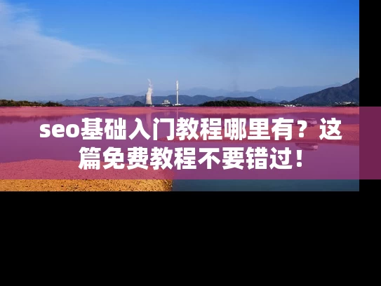 seo基础入门教程哪里有？这篇免费教程不要错过！