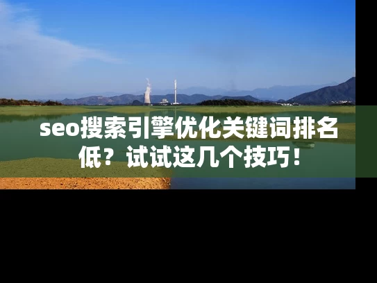 seo搜索引擎优化关键词排名低？试试这几个技巧！