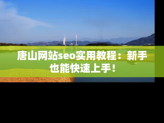 唐山网站seo实用教程：新手也能快速上手！