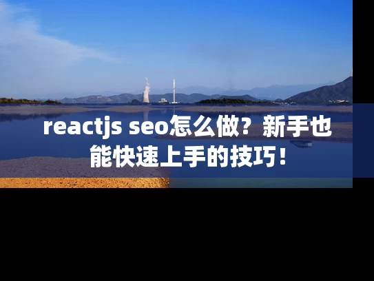 reactjs seo怎么做？新手也能快速上手的技巧！