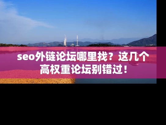 seo外链论坛哪里找？这几个高权重论坛别错过！