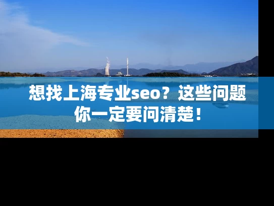 想找上海专业seo？这些问题你一定要问清楚！