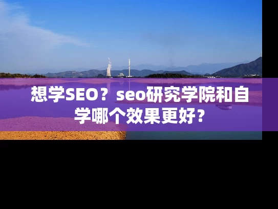 想学SEO？seo研究学院和自学哪个效果更好？