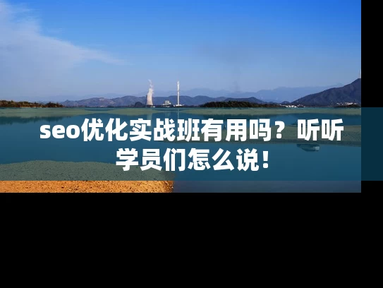 seo优化实战班有用吗？听听学员们怎么说！