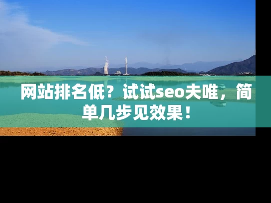 网站排名低？试试seo夫唯，简单几步见效果！