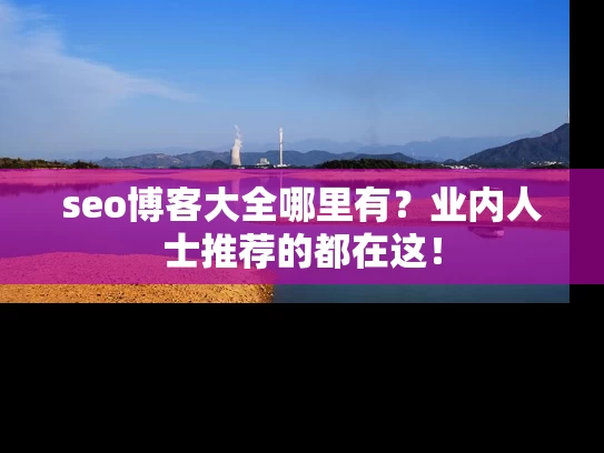 seo博客大全哪里有？业内人士推荐的都在这！