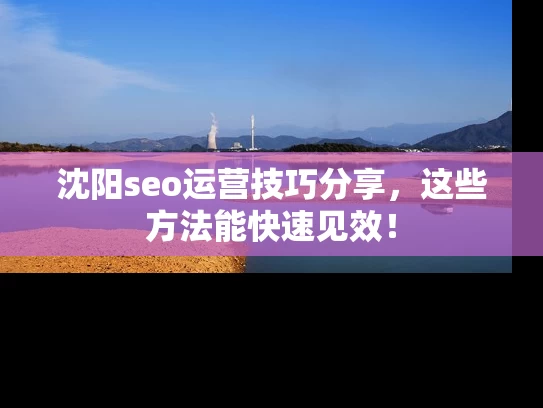 沈阳seo运营技巧分享，这些方法能快速见效！