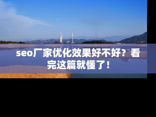 seo厂家优化效果好不好？看完这篇就懂了！