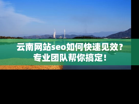 云南网站seo如何快速见效？专业团队帮你搞定！