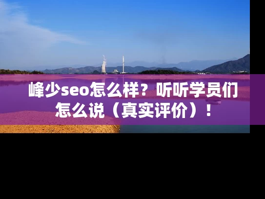 峰少seo怎么样？听听学员们怎么说（真实评价）！