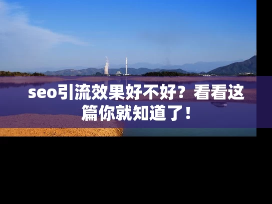 seo引流效果好不好？看看这篇你就知道了！
