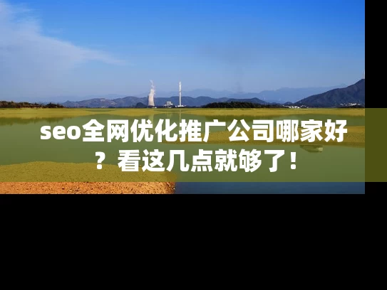 seo全网优化推广公司哪家好？看这几点就够了！