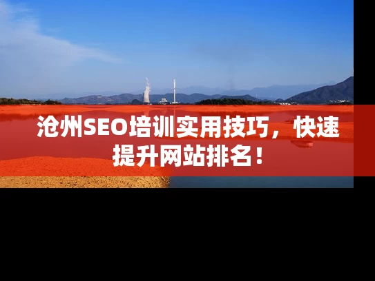 沧州SEO培训实用技巧，快速提升网站排名！
