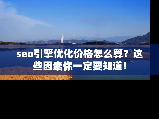 seo引擎优化价格怎么算？这些因素你一定要知道！