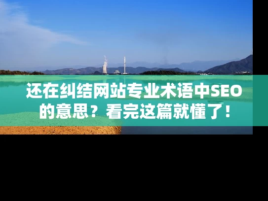 还在纠结网站专业术语中SEO的意思？看完这篇就懂了！