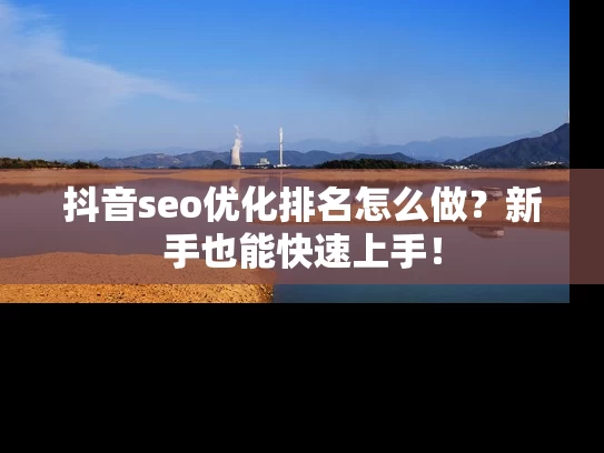 抖音seo优化排名怎么做？新手也能快速上手！