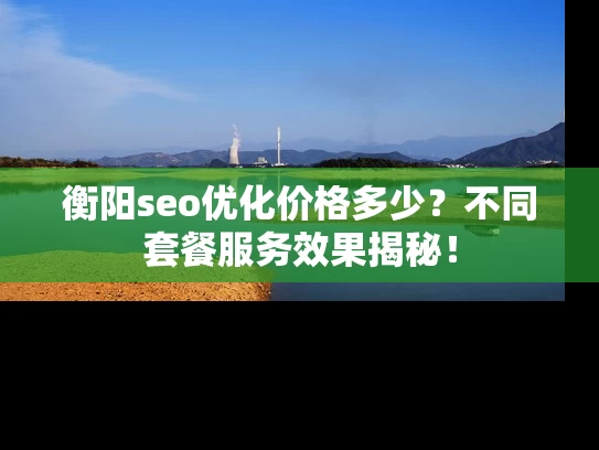 衡阳seo优化价格多少？不同套餐服务效果揭秘！