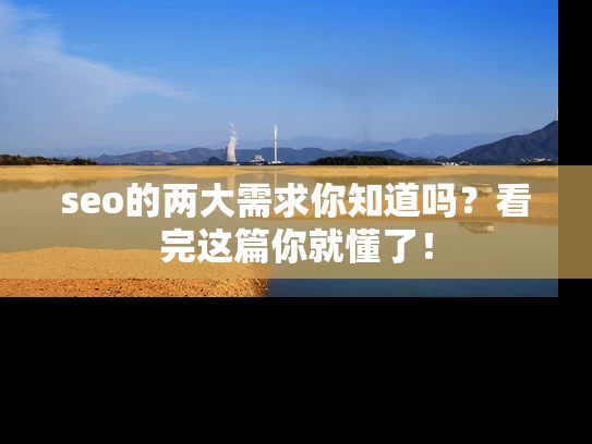 seo的两大需求你知道吗？看完这篇你就懂了！