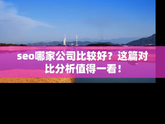 seo哪家公司比较好？这篇对比分析值得一看！