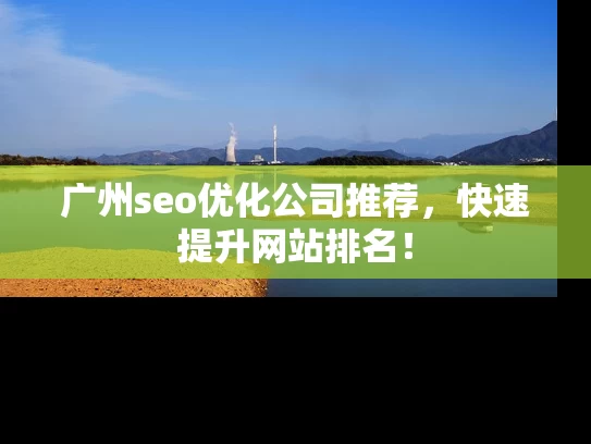 广州seo优化公司推荐，快速提升网站排名！