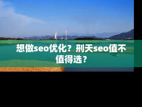 想做seo优化？刑天seo值不值得选？