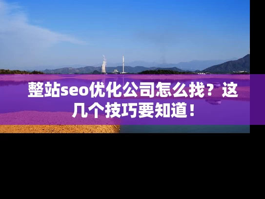 整站seo优化公司怎么找？这几个技巧要知道！