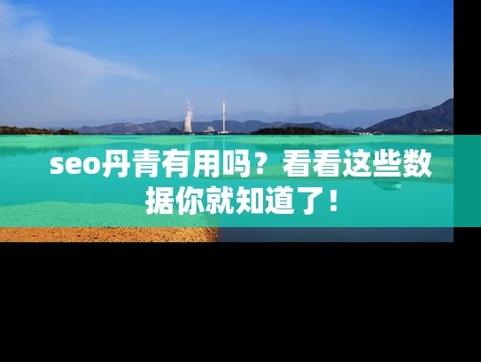 seo丹青有用吗？看看这些数据你就知道了！