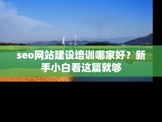 seo网站建设培训哪家好？新手小白看这篇就够