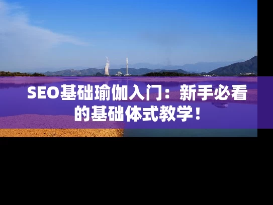 SEO基础瑜伽入门：新手必看的基础体式教学！