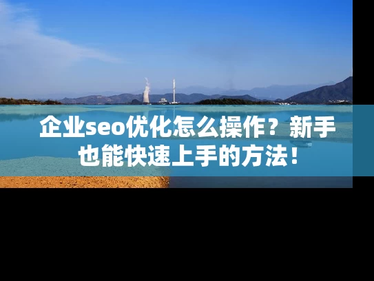企业seo优化怎么操作？新手也能快速上手的方法！