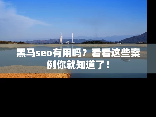 黑马seo有用吗？看看这些案例你就知道了！
