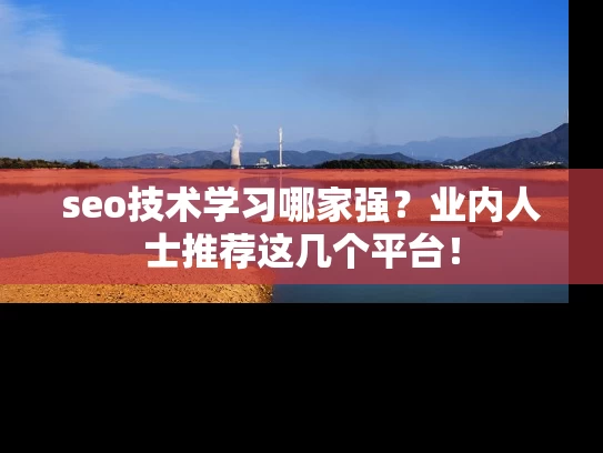 seo技术学习哪家强？业内人士推荐这几个平台！