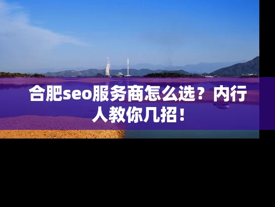 合肥seo服务商怎么选？内行人教你几招！