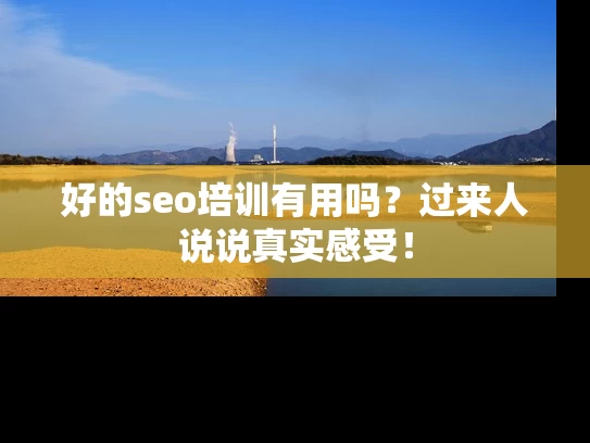 好的seo培训有用吗？过来人说说真实感受！