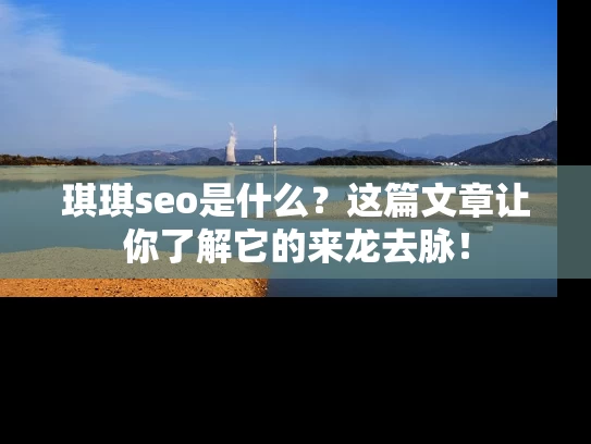 琪琪seo是什么？这篇文章让你了解它的来龙去脉！