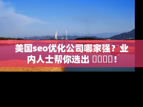 美国seo优化公司哪家强？业内人士帮你选出 সেরা！