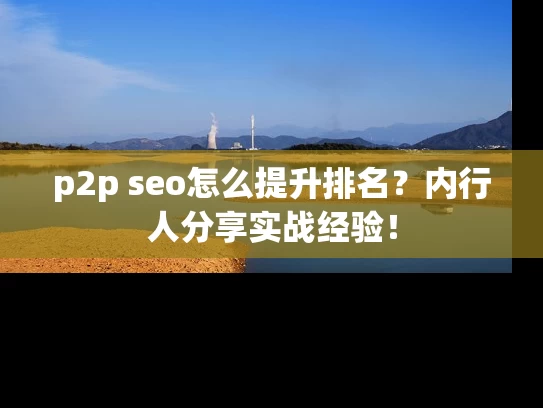 p2p seo怎么提升排名？内行人分享实战经验！