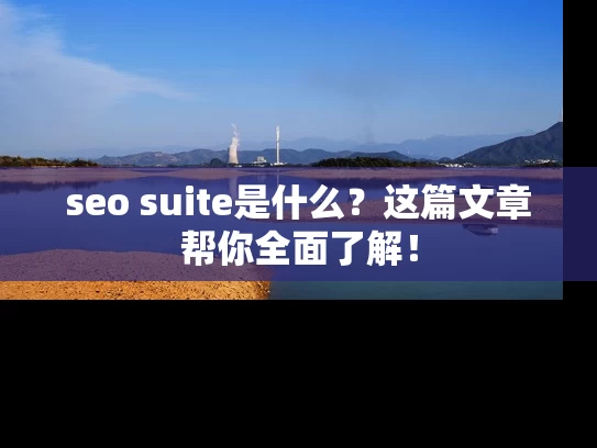seo suite是什么？这篇文章帮你全面了解！