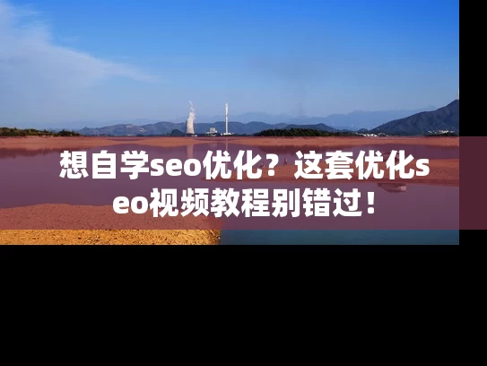 想自学seo优化？这套优化seo视频教程别错过！