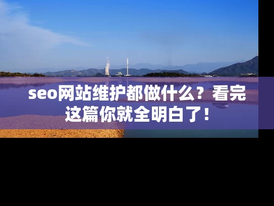 seo网站维护都做什么？看完这篇你就全明白了！