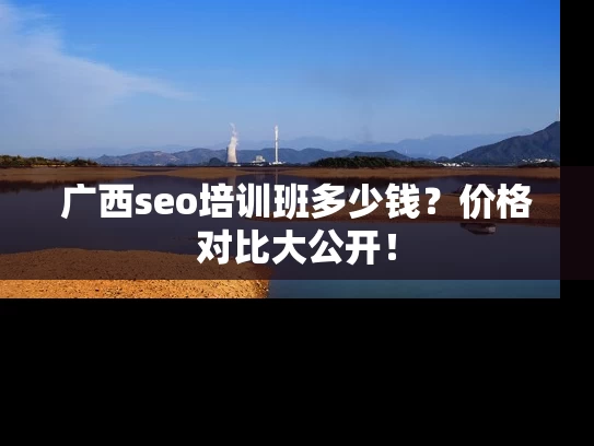 广西seo培训班多少钱？价格对比大公开！