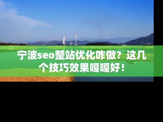 宁波seo整站优化咋做？这几个技巧效果嘎嘎好！