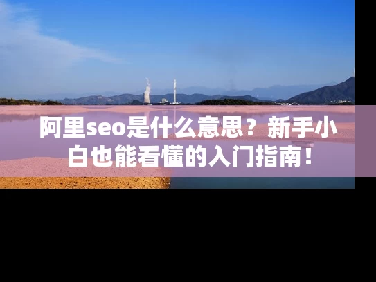 阿里seo是什么意思？新手小白也能看懂的入门指南！