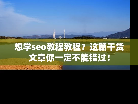 想学seo教程教程？这篇干货文章你一定不能错过！