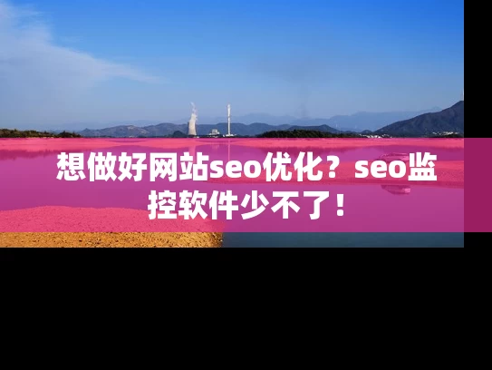 想做好网站seo优化？seo监控软件少不了！
